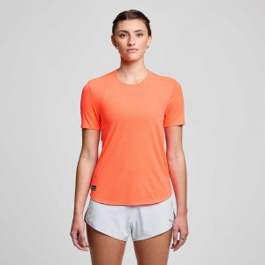 Saucony Stopwatch Short Sleeve ViZiRed | OGXDBI071