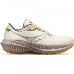 Saucony Triumph 21 RUNSHIELD Bej Rengi | ZALMDH865