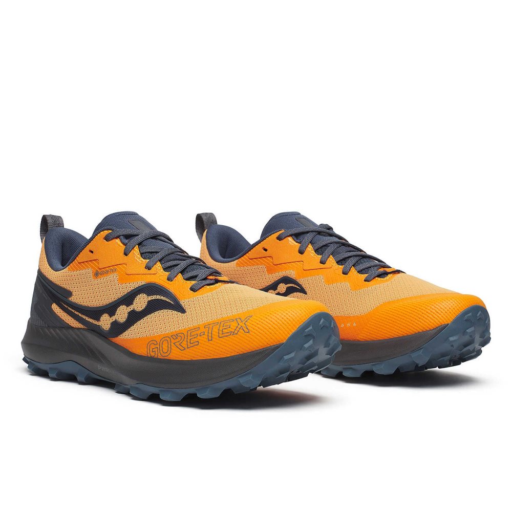 Saucony Peregrine 14 GTX Gri | UEFTKO751