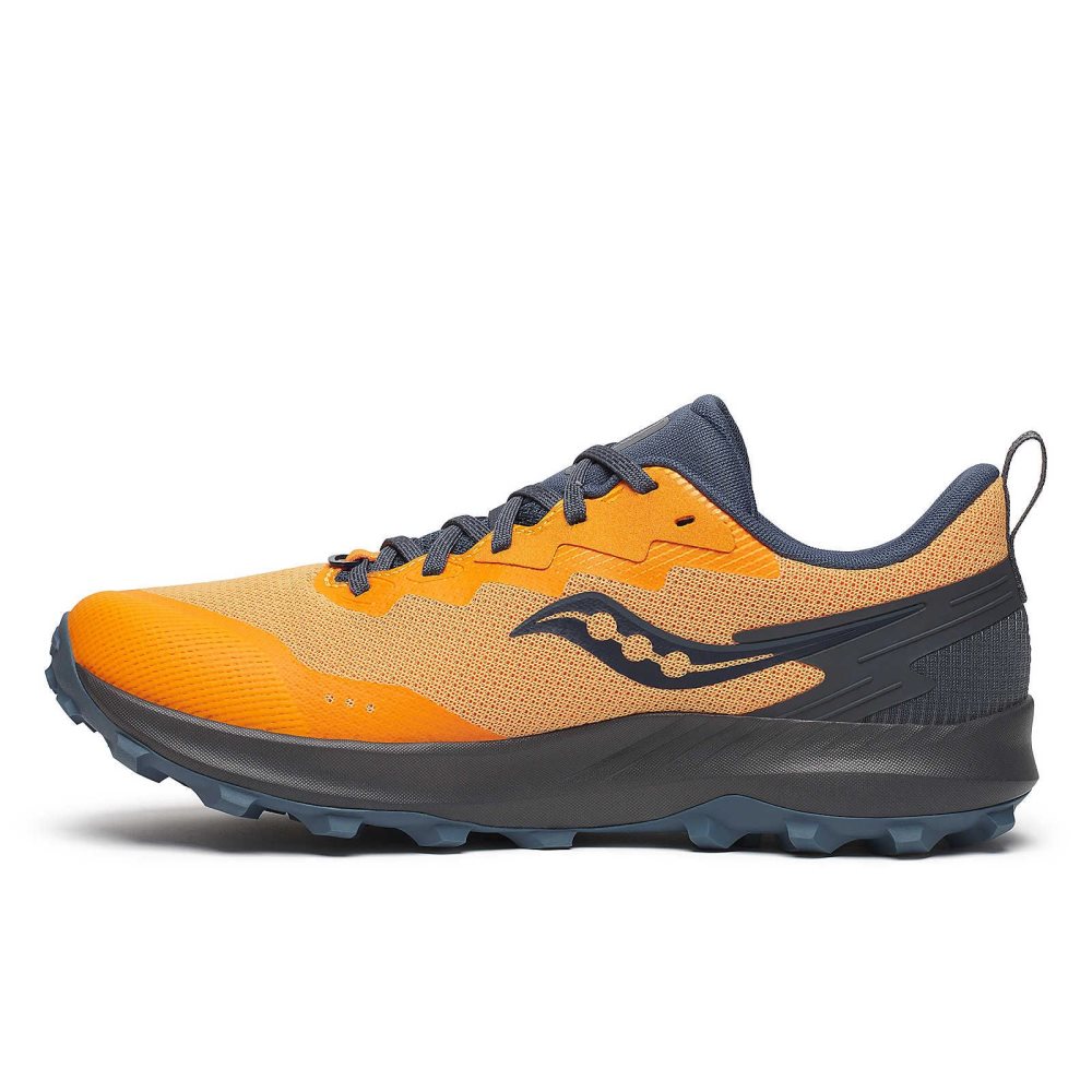 Saucony Peregrine 14 GTX Gri | UEFTKO751