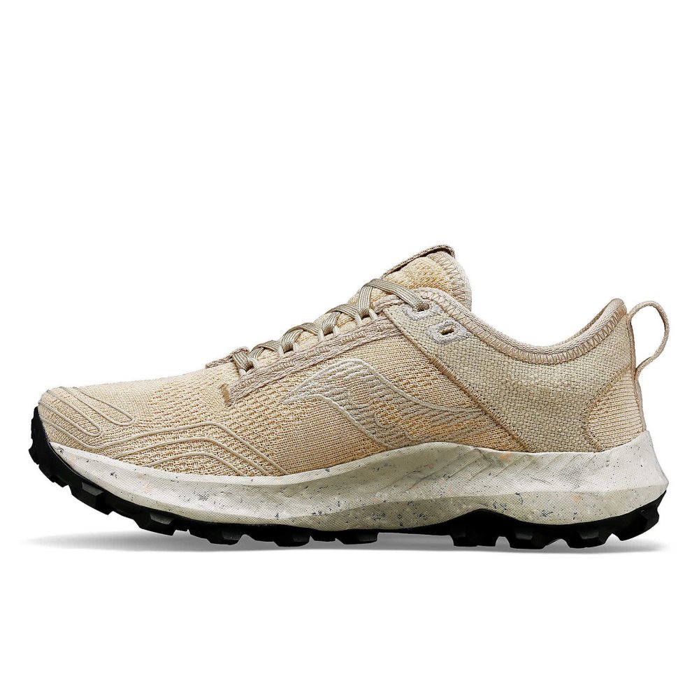 Saucony Peregrine RFG Gri | KXCAHS160