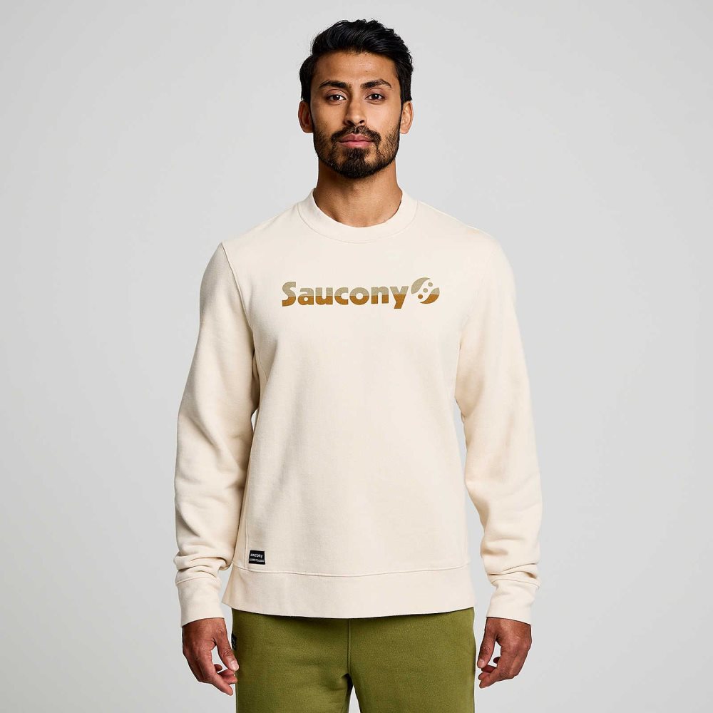 Saucony Recovery Crew Bej Rengi | CTHMAZ156