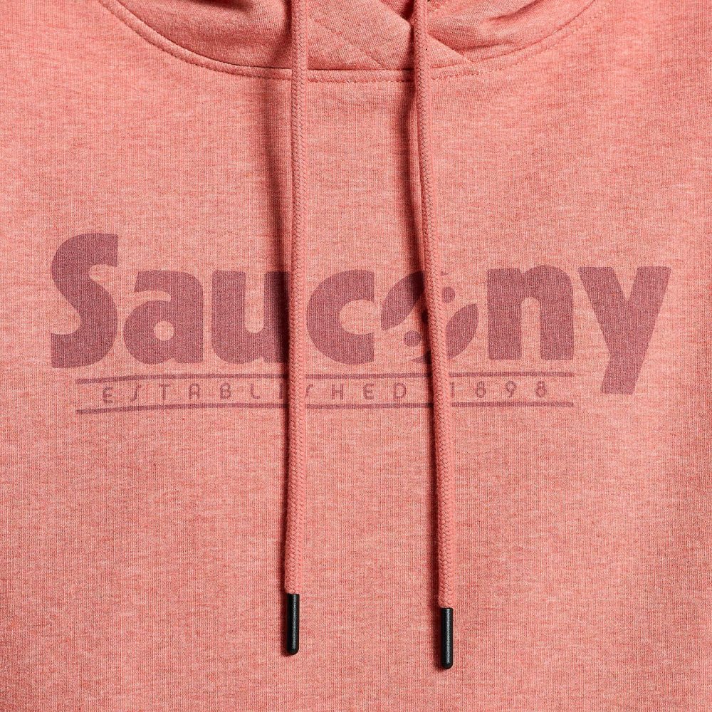 Saucony Rested Hoodie Soot Heather Graphic | DTEXIK326