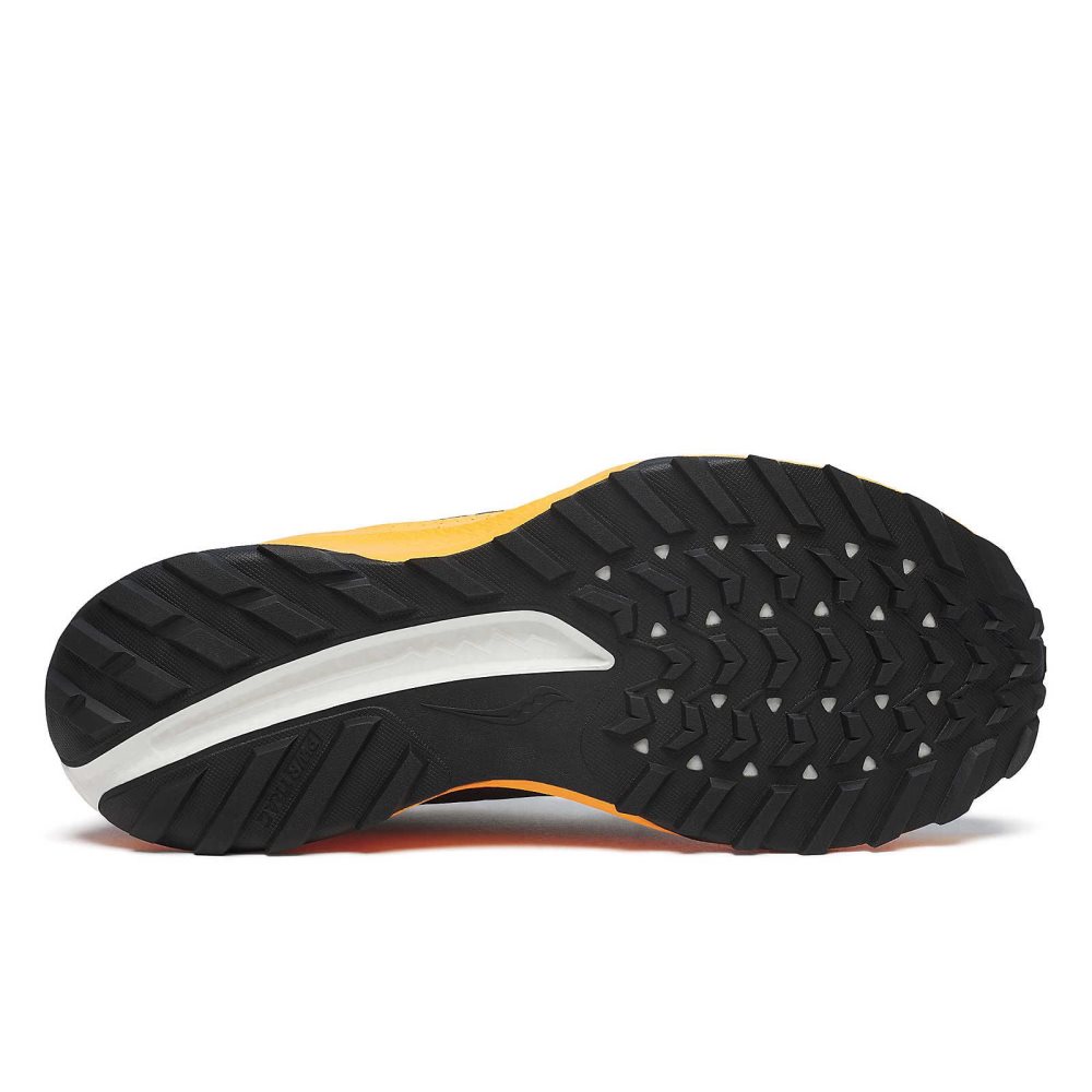 Saucony Ride TR2 GTX Lacivert | WELMGQ578